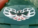 Pontiac Trans Am 1984!!